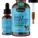 Animal Essentials Digestione giornaliera per cani e gatti - supporto digestivo, respiro fresco, radice di zenzero, estratto di semi di finocchio, supplemento liquido - 2 Fl Oz
