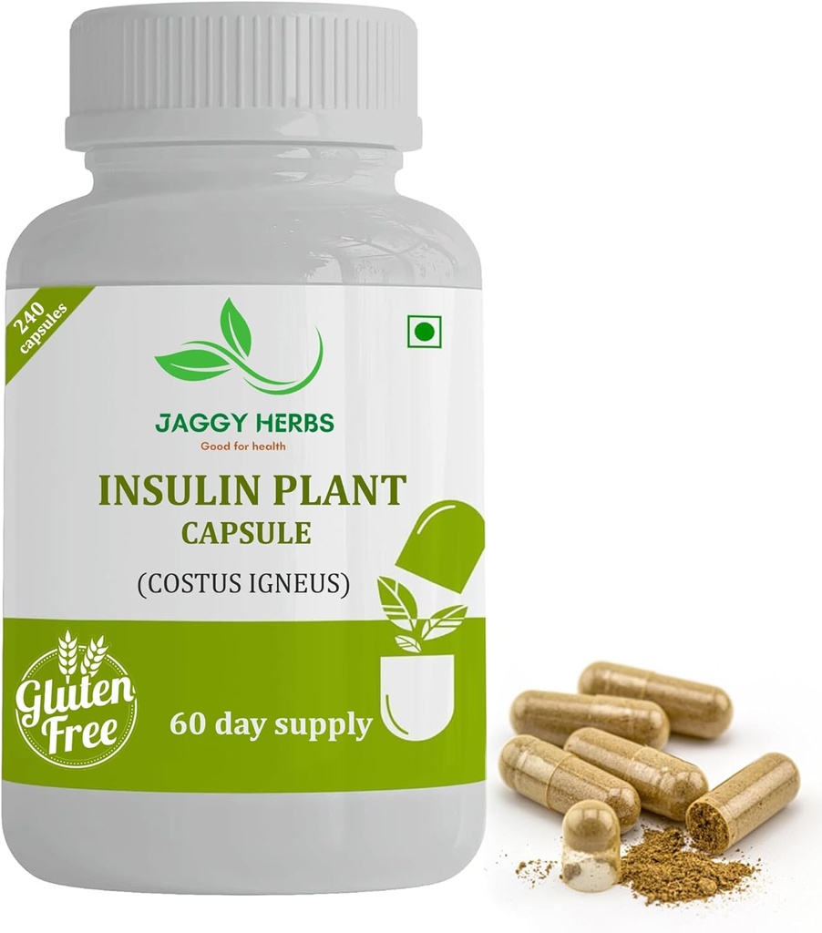 Generische JAGGY Premium Insulin Pflanzenkapseln (Costus Igneus) Natürliche Ergänzung 240 Veggie Kapseln (60 Tage Versorgung) Insulin Pflanze