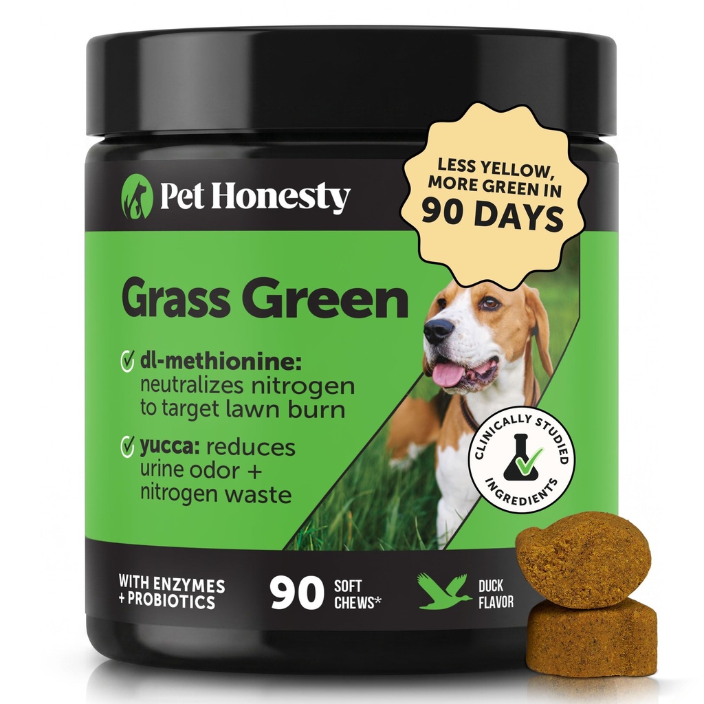 Grass Green Dog Chews - Urine Neutralizer per prato, Dog Pee Grass aiuta Yard Soggiorno Verde Indirizzando i punti brucia con Probiotici & Enzimi (Duck)