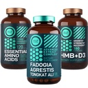 WILD FUEL Aminosäuren, HMB und Fadogia Agrestis Complex Power & Potential Bundle