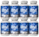 VITAMISAN Celulas Madres Stem Cell Blue Algae AFA Capsules, 60 Nombre (paquet de 8)