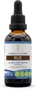 Segreti della Trib Rue Alcohol-Free Liquid Extract, Rue (Ruta ghiaia) Dried Herb Tincture Supplement (2 FL OZ)