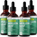 5-en-1 gouttes de Mullein pour les poumons et les bronches - Soutien respiratoire pour la santé pulmonaire avec extrait de Mullen Leaf pour les poumons - Teinture de Mullein avec des racines de mûre, d'échinacée et de gingembre (120 portions) (4-pack)