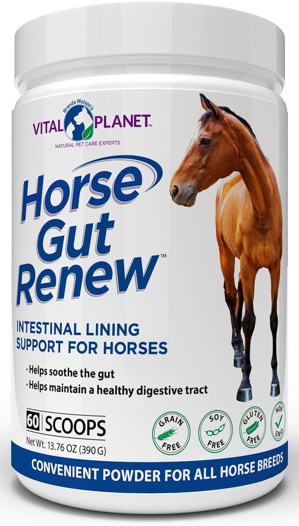 Vital Planet - Cheval Gut Renouveler le soutien intestinal pour les chevaux 13.76oz, 60 Scoop