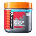 Gatorade Endurance Formula Powder, Watermelon, 32 Unze