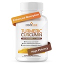 Estratto di curcuma e zenzero biologico - Curcumina curcuma con Ginger & BioPerine, 95% Curcuminoidi - Giunto, Digestione, Supporto per l'immunità, Estratto di pepe nero per l'assorbimento aumentato