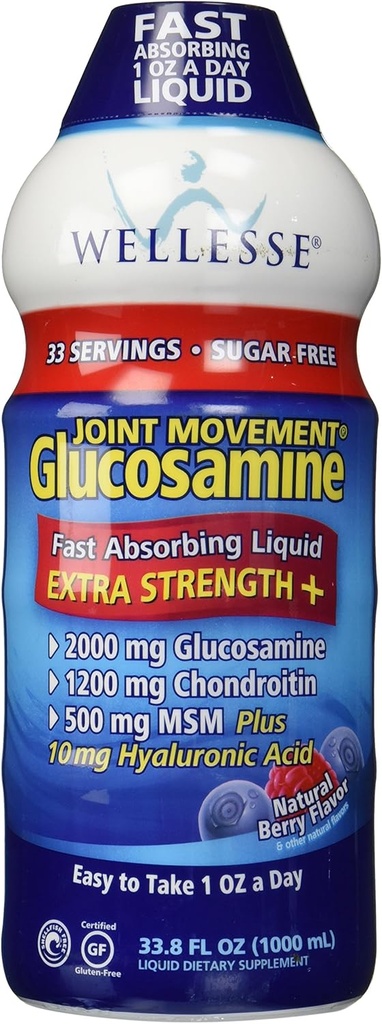 Wellesse Joint Movement Glucosamine mit Chondroitin & Msm 33.8 fl oz (1000 ml)