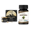 ORGANIC SPREE Pure Himalayan Shilajit Resin & Mucuna Supplement – 20g & 120 Tabletten – 85+ Trace Mineral Fulvic Acid Resin & USDA Organic Mucuna Pruriens