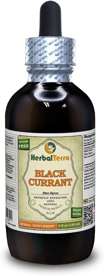 Currant noir (Ribes nigrum) Teinture, feuilles séchées Extrait liquide (Marque: HerbalTerra, Fièrement fabriqué aux États-Unis) 4 fl.oz (120 ml)