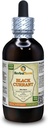 Currant noir (Ribes nigrum) Teinture, feuilles séchées Extrait liquide (Marque: HerbalTerra, Fièrement fabriqué aux États-Unis) 4 fl.oz (120 ml)