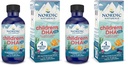 Nordic Naturals Kinder DHA Xtra, Berry Punch - 2 oz für Kinder - 880 mg Gesamt Omega-3-Fettsäuren mit EPA & DHA - Kognitive & Immunfunktion, Lernen, soziale Entwicklung - Nicht-GVO - 48 Portionen (Paket von 2)