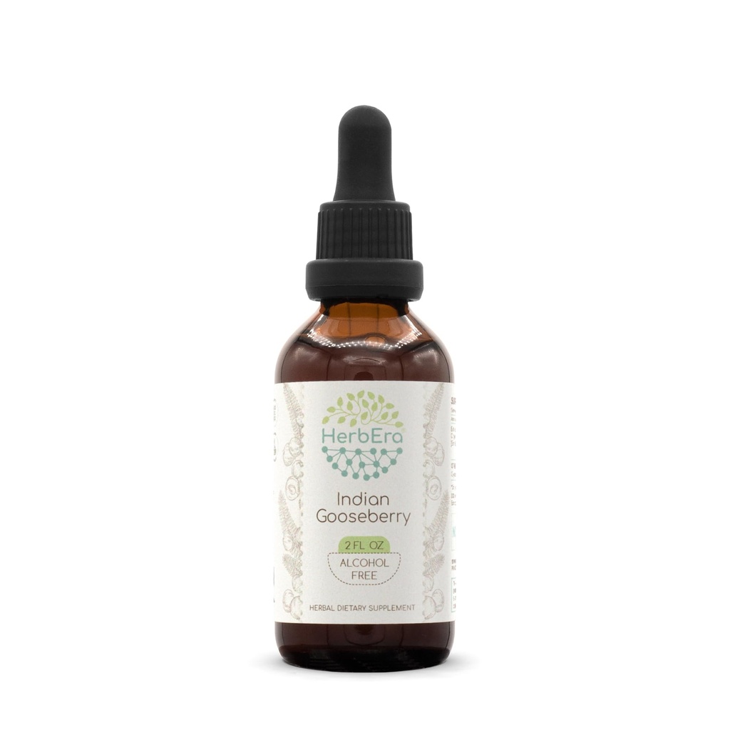 HerbEra Indian Gooseberry B60 Alcohol-Free Herbal Extract Tincture, Super-Concentrated Indian Gooseberry (Emblica officinalis) Dried Fruit (2 Fl Oz)