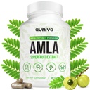 Amla Capsules 1000mg – Indian Gooseberry Amla Fruit Supplement – Amla Powder for Antioxidant, Energy & Digestive Support – Ayurvedic Wellness Formula – 60 Capsules