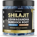 Reiner Shilajit-Gummi, Sea Moss, Ashwagandha, 105+ Spurenmineralien – Organic Burdock Root & Lions Mane Mushroom – Blue Razz – Vegan & Non-GMO – Made in USA – 60ct