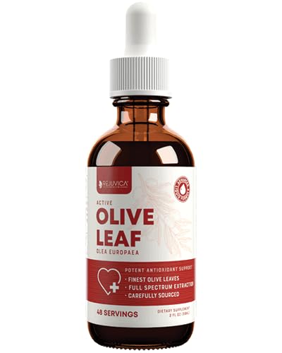 Rejuvica Active Olive Leaf Extract | Naturally Occurring Oleuropein Liquid Drops for Immune & Heart Support | Fast-Absorption, Vegan, Alcohol-Free | 2 fl oz