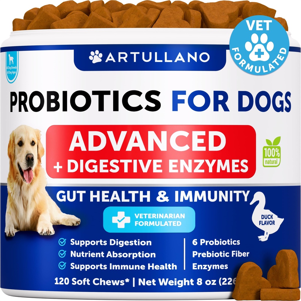 Probiotiques pour chiens - Soutien Santé Gut, peau démangeaison, allergies, immunité, équilibre des levures - Probiotiques pour chiens et enzymes digestives avec prébiotiques - Réduire la diarrhée, gaz - 120 Chews probiotiques pour chiens