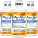 Vital Earth Minerals Fulvic Humic Mineral Blend Liquid 3-Pack – Supplemento acido Fulvic con 70+ minerali Trace, Elettroliti per il recupero, Balance & Energy, 32 Oz Ea + 1 Oz Cup Ea