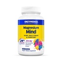 Enzymedica Magnesium Mind Supplement for Women & Men - Sleep, Stress, & Cognition Support, ATA Mg 24% Faster Absorption, High Bioavailability Magnesium Capsulesfor Brain,Vegan, Gluten Free - 120 Caps