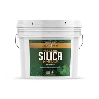 Minéraux de Silice volcanique Micronisés- 10 livres