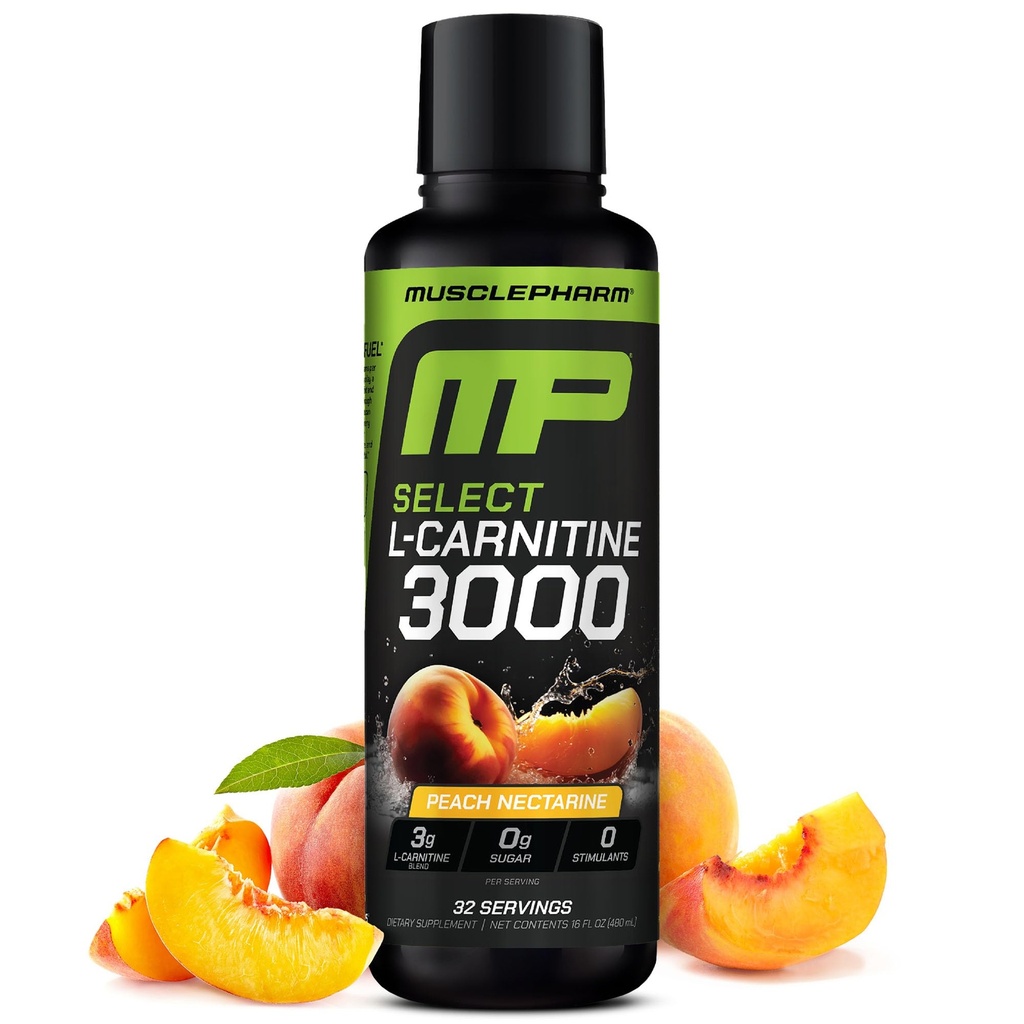 Muskel Pharm L-Carnitin 3000, Die ultimative flüssige L Carnitin Ergänzung für hohe Leistung, unterstützt Stoffwechsel, Hydration & Energie, Zero Sugar, Niedrige Kalorien, Peach Nectarine Flavor, 32 Servierungen