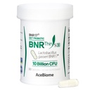 BNRThin S30, Lactobacillus Gasseri BNR17, 10 milliards de CFU garantis, 30capsules