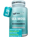 Herbtonics Sea Moss, Black Seed Oil, Ashwagandha, Burdock Root & ACV Complex | Boost Immunity, Ridurre lo stress, Digestione di supporto | All-in-One SeaMoss Capsule | 60 capsule
