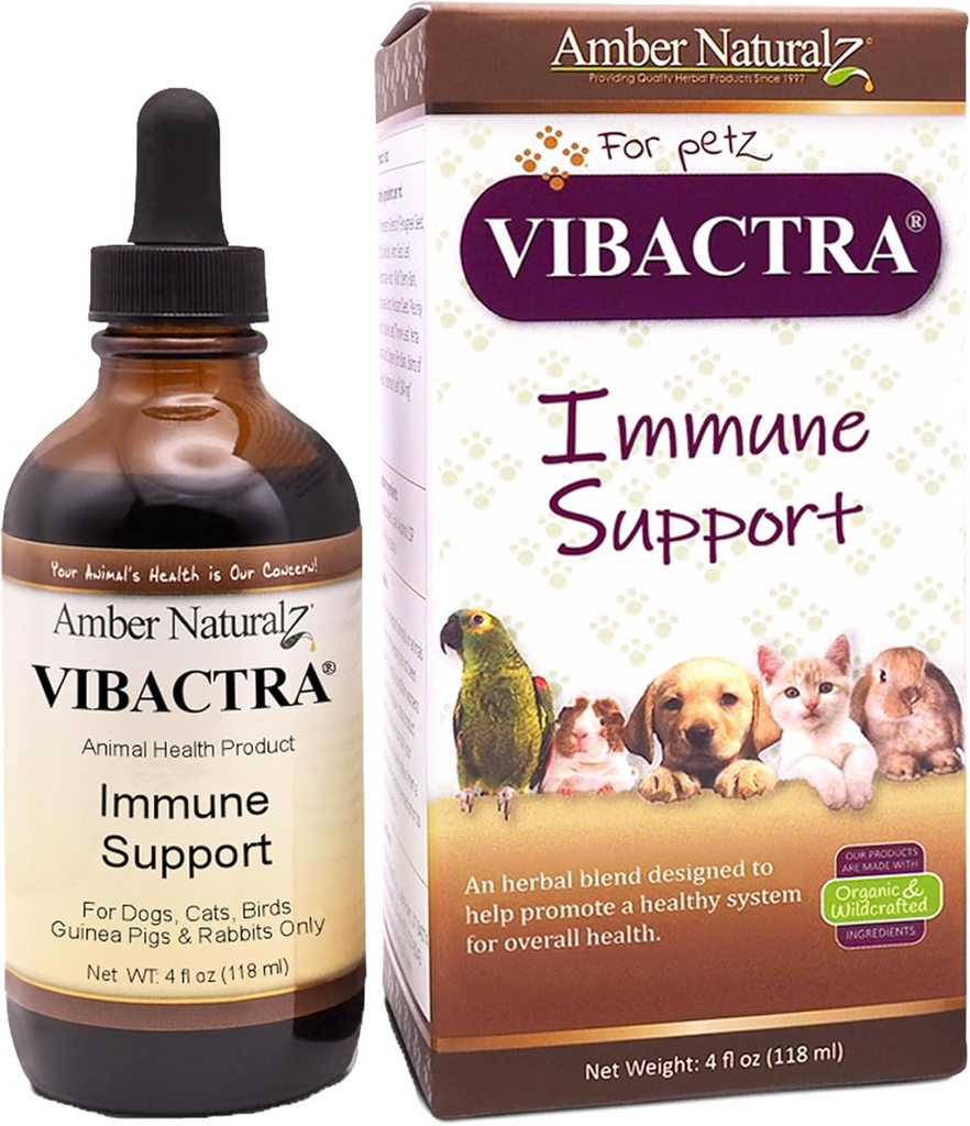 Ambra NaturalZ Vibactra Immune Support Integratore a base di erbe per cani, gatti, uccelli, porcellini di Guinea e conigli | Miscela di erbe per la salute generale | 4 Bottiglia di vetro di oncia fluida | Prodotto negli Stati Uniti
