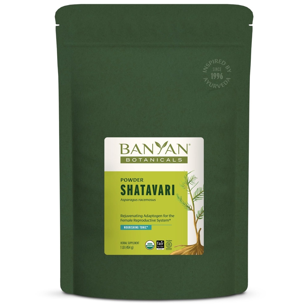 Banyan Botanicals Shatavari Polvere – Polvere di radice di asparagi organici – Tonico di adaptogen ringiovanente che supporta un sistema riproduttivo sano* – 1 lb. – Non-GMO Sostenibilmente Sorgente Vegan