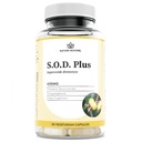 Natural Restore S.O.D. Superoxide Dismutase Supplemento, 4000 IU SOD-Like Activity, Vegan, 90 capsule, Non OGM, Gluten Free