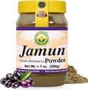 Polvere di base Ayurveda Jamun – 7.05 Oz (200g) | Polvere di frutta di mora indiana | Supplemento naturale di erbe per uso quotidiano | Ricco di antiossidanti | Vegan & Gluten-Free