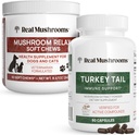 Funghi reali Tail Turchia per gli esseri umani (90ct) & Mushroom Pet Relax Chews (60 Chews) - Bundle per l'immunità & Relax - Vegan, Non OGM, Gluten-Free, Grain-Free Mushroom Extract Supplements