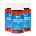 CAW Hypersorption Cycloastragenol 5Mg | Supporto di lunghezza Telomere | DNA Health Immunity Boost Anti-Aging | 30 Capsule Enteric-Coated (3 bottiglie)