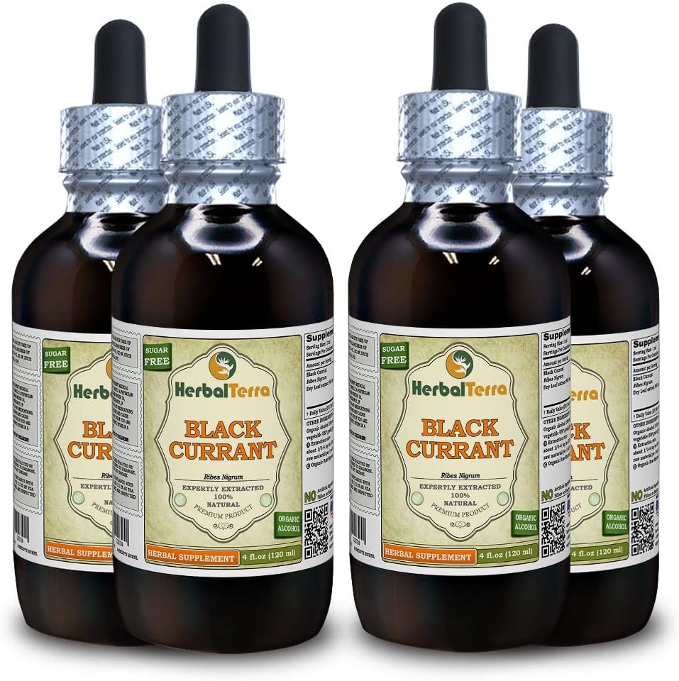 Currant noir (Ribes nigrum) Teinture, feuilles séchées Extrait liquide (marque : HerbalTerra, fièrement fabriqué aux États-Unis) 4x4 fl.oz (4x120 ml)
