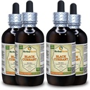 Currant noir (Ribes nigrum) Teinture, feuilles séchées Extrait liquide (marque : HerbalTerra, fièrement fabriqué aux États-Unis) 4x4 fl.oz (4x120 ml)