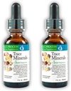 Morter Trace Minerals in Colloidal Suspension (2 Pack) Morter HealthSystem Best Process Alkaline — Nährstoffdichte Spurenelemente, Fulvic Minerals & Aminosäuren