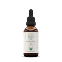 HerbEra Frankincense B60 USDA Organic Tincture | Alcohol-Free Extract, High-Potency Herbal Drops, Immune System, Positive Mood | Certified Organic Frankincense (Boswellia Resin) Dried Resin (2 fl oz)