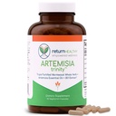 Artemisia Trinity | Reinigung für Erwachsene mit Wormwood Herb & Artemisinin 30:1 Extrakt | Widerstand & Verdauungsunterstützung | Kräuterergänzungen | Rein, Pflanzenbasiert, 90 Caps
