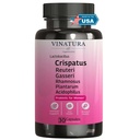 VINATURA Lactobacillus Rhamnosus, Reuteri, Gasseri, Plantarum, Crispatus, Acidophilus Probiotika - Probiotika für Frauen * USA Made & Tested * Frauen Vaginal Health, Darm und Verdauungsgesundheit - 30 Kapseln