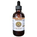 Hawaii Pharm Rehmannia Liquid Extract, Tincture, Integratore di erbe, Made in USA, 2 fl.oz