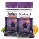 Sambucol Black Elderberry Gummies mit Vitamin C & Zink - Sambucus Elderberry Gummies für Immununterstützung, High Antioxidants, Glutenfrei, Vegan, Elderberry mit Zink & Vitamin C - 30 Count, 2 Pack