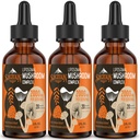 Liposomaler Pilzkomplex Tropfen 2000 MG - 20 Organische Pilzextrakte - Erweiterte flüssige Formel für Immunität, kognitiv und Gedächtnis - Lions Mane Supplement, Reishi, Cordyceps, Chaga, 90 Servierungen