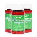 CAW Nano Cycloastragenol 10Mg | Attivazione Telomerase Anti-Aging | Cell Rejuvenation Immunity Boost | 30 capsule vegetariane Enteric-Coated (3 bottiglie)