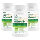 DAO Integratore di istamina Blocker – DAO Enzyme + Diamine Oxidase & Quercetin, Immortelle, Vitamina C per Gut Health e Food Support 180 Capsule