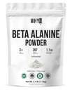 Poudre Beta-Alanine, 2,4 lb, Supplément non aromatisé pour pré-entraînement Poudre Beta-Alanine micronisée pour mélange facile Vegan Non-OGM sans gluten, 1100g