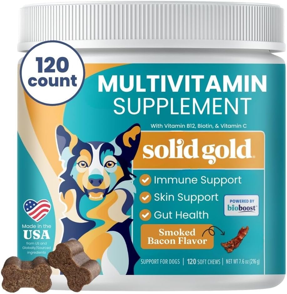 Solid Gold Dog Multivitamin - Soft Dog Vitamins & Supplements Chews - All-in-One Heart, Immune, Cervello, Pelle, Cappotto & Gut Health Support w/Vitamin C, B12, Probiotici & Antiossidanti - Bacon Flavor 120ct