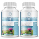 (2 Pack) Capsules de supplément de chardon de lait, formule de santé du foie, avec racine de dandelion, 10:1 Extrait, pour le nettoyage du foie de la détox support, système digestif et immunitaire, 240 Compte