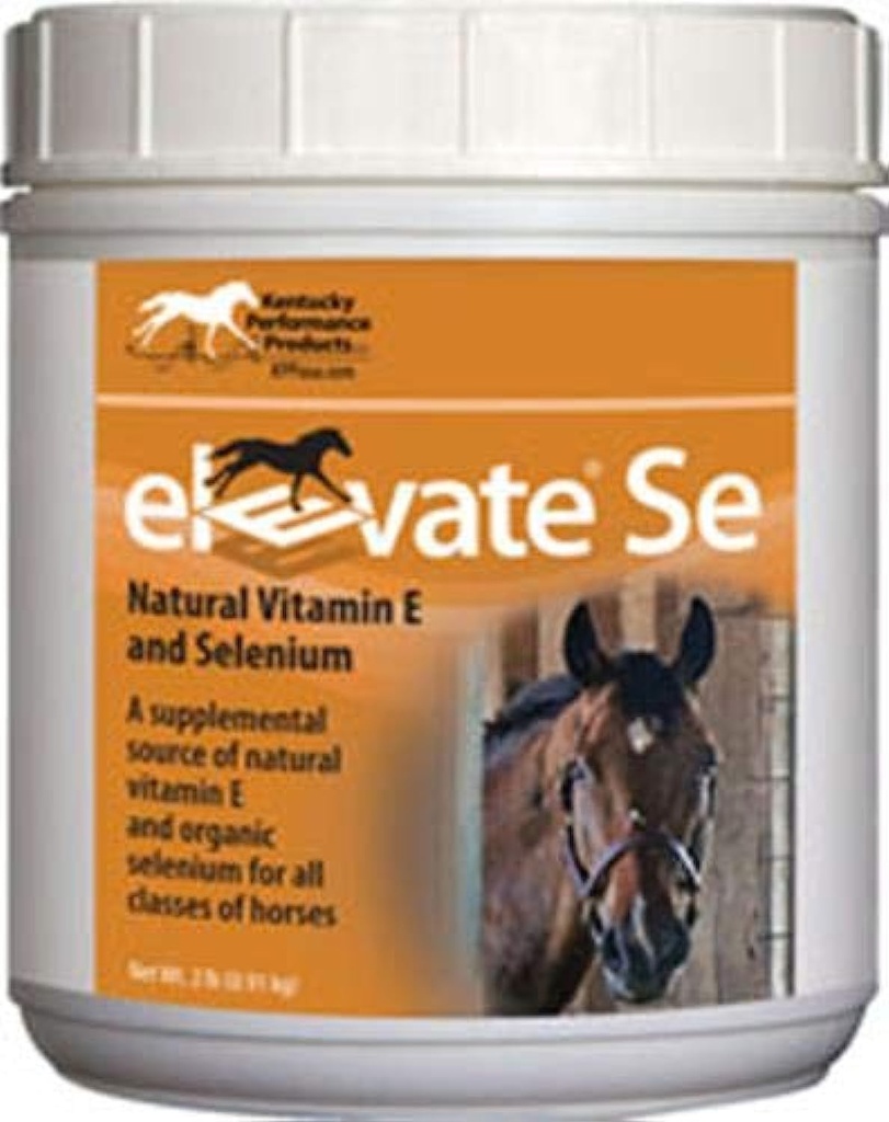 Kentucky Performance Prod Erhöhen Se Natural Vitamin E und Selen Pulver für Pferde, 2 Pfund Container