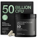 Lactobacillus Gasseri - Ultra High Strength 50 Billion CFU - Delayed Release Kapseln - Hergestellt mit präbiotischer Inulinfaser - Unterstützt Verdauungsgesundheit & Darmflora - Drittlabor getestet - 60 Kapseln