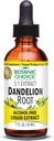 Choice botanique Racine de dandelion, sans alcool extrait liquide - soutien traditionnel pour la santé du foie, les toxines propres, l'aide Digestion-1