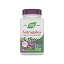 Nature's Way Astragalus Premium Extract, Supports Immune Health*, 250 mg Extract per Serving, Non-GMO Project Verified, 60 Vegan Capsules (Packaging May Vary)